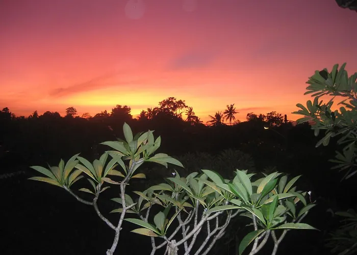 Desak Putu Putra * Ubud